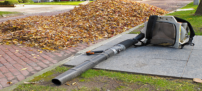image four